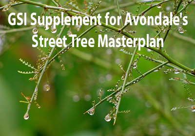 Green Stormwater Infrastructure Supplement for Avondale's Street Tree Master Plan