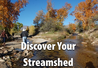 Discover your streamshed.