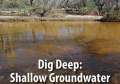 Learn what shallow groundwater is and why it is important to our riparian ecosystems.
