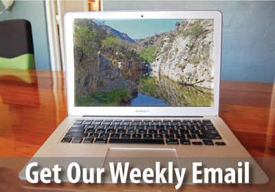 Sign up to receive our weekly email bulletins and special action alerts.