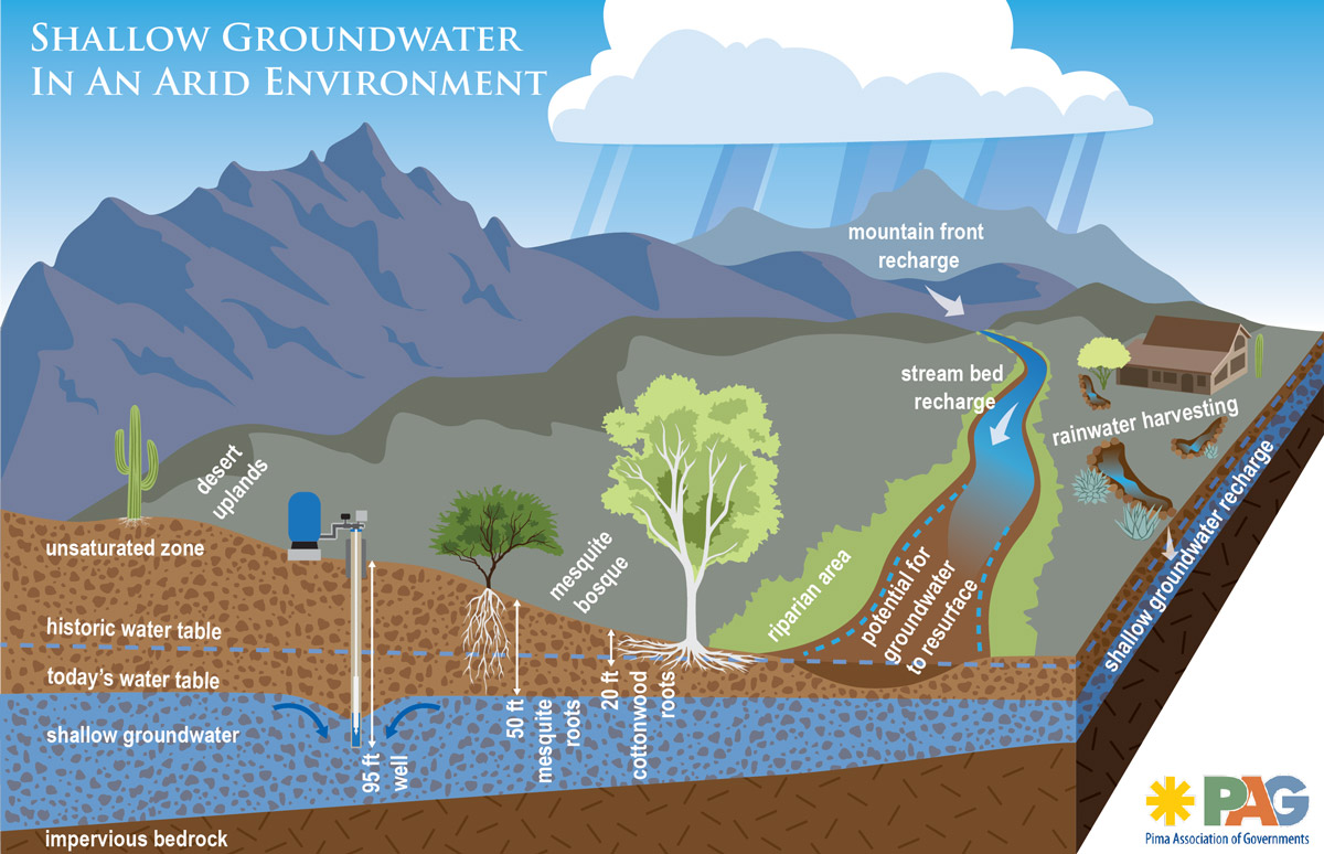 Graphic: What is happening to shallow groundwater at Sabino and Tanque Verde