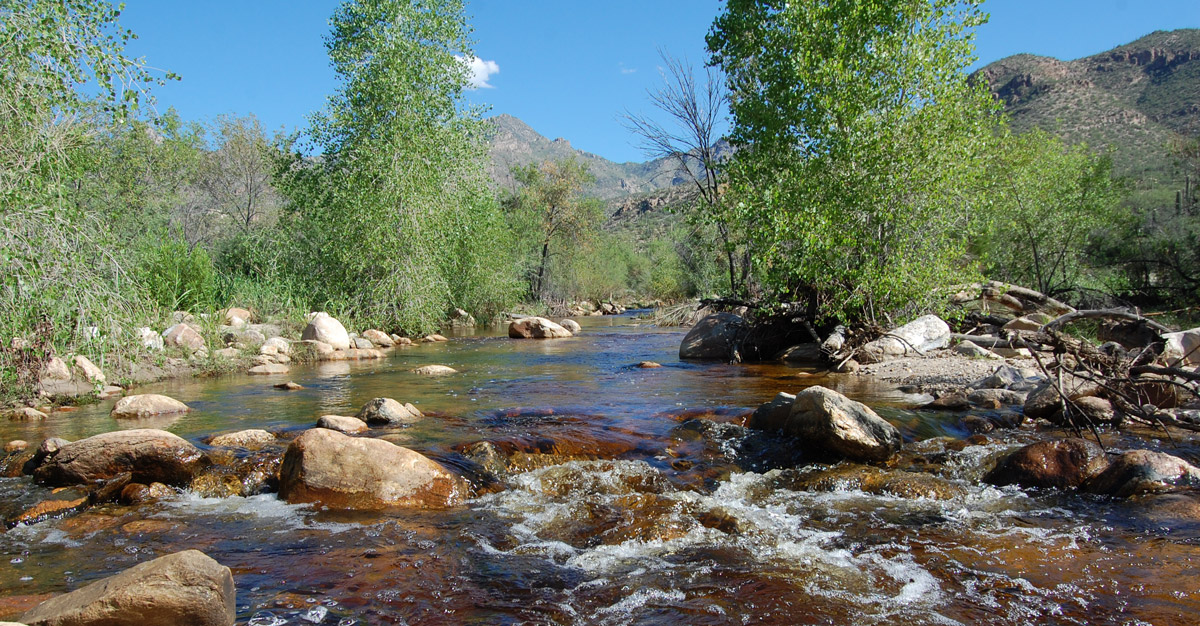 With strong community effort, we can restore year-round flow to Sabino Creek.