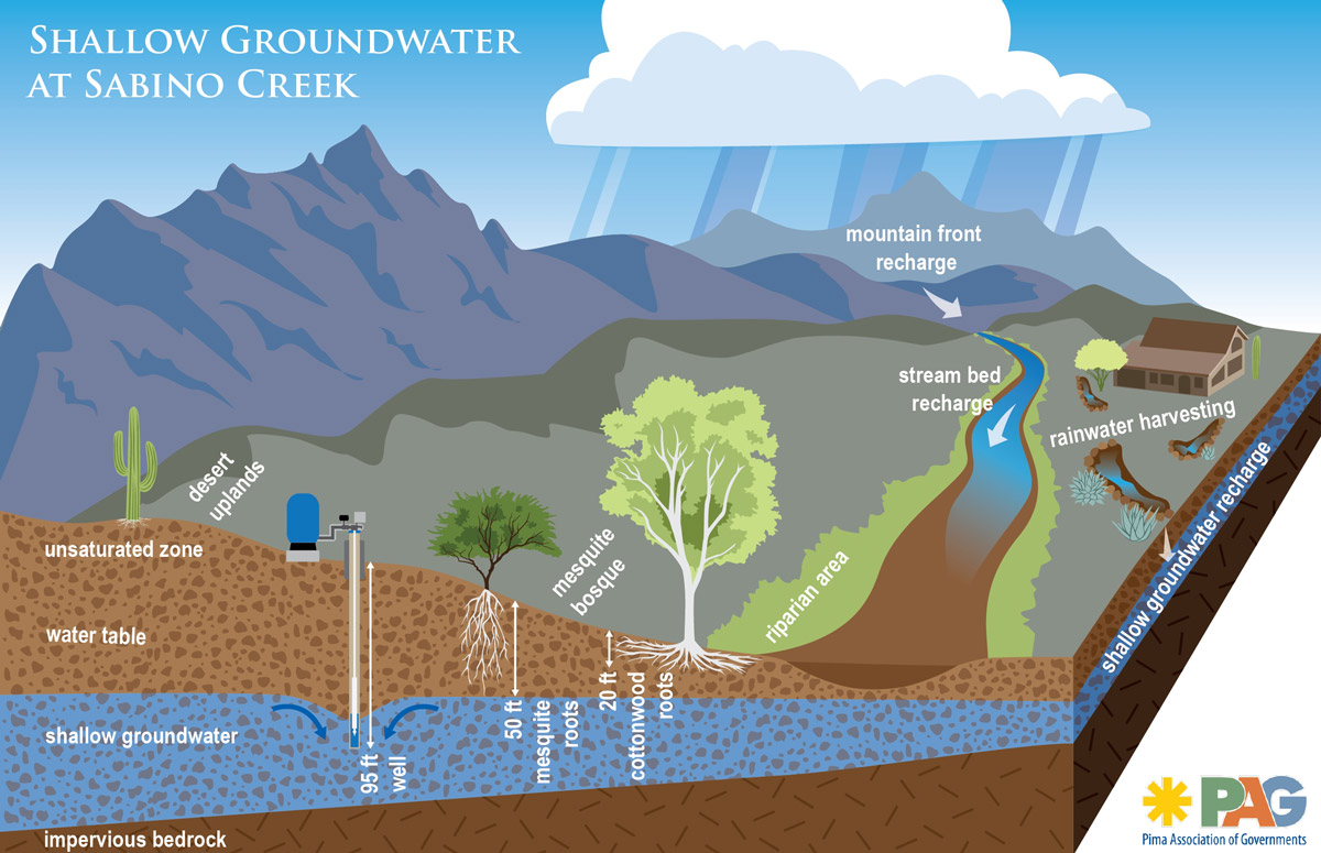 The effects of drought and pumping can have severe and devastating impacts on shallow groundwater dependant creeks and springs. Image credit: Pima Association of Governments