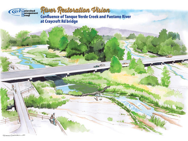 Illustration of WMG's 50-year vision for the Lower Tanque Verde