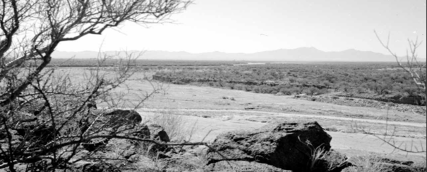 The Santa Cruz River in 1989, facing south toward the Santa Rita Mountains. In place of the mesquite bosque from 1942, there is a dry river bed with little to no vegetation. Photo credit: U.S. Geological Survey.