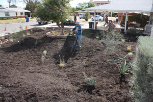 Replacing your lawn with native plants and mulch reduces water use and improves the watershed.