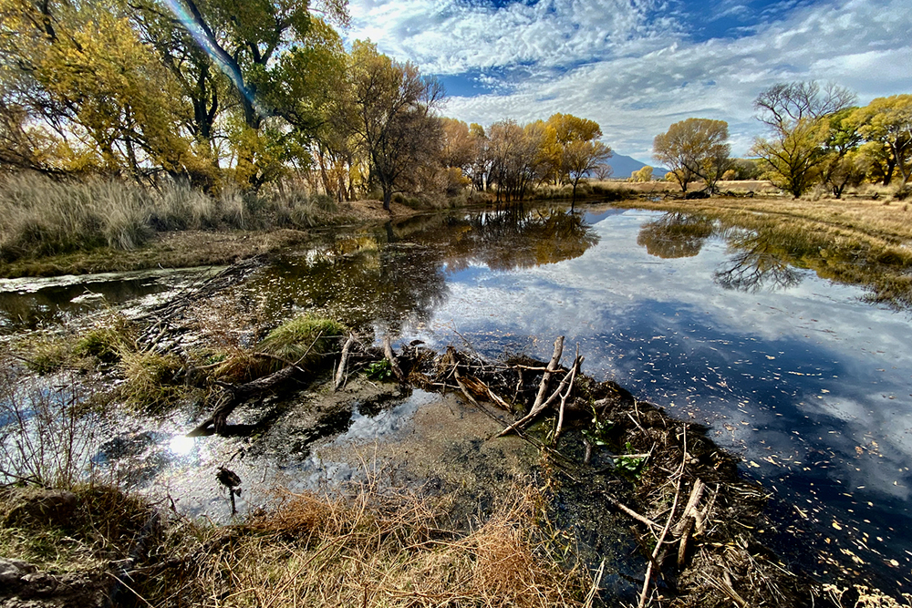 WMG's Top Ten - Let's Celebrate 2021! | Watershed Management Group