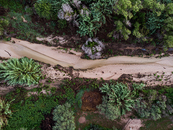 Tanque Verde Creek.