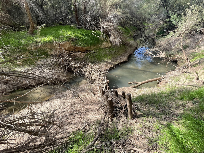 Lower San Pedro River - Beaver Dam Analog structure