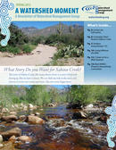 The story of Sabino Creek, like many desert rivers, has been a story of loss and drying up. The new story begins here.