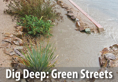 Learn more about the benefits and how to implement green infrastructure.