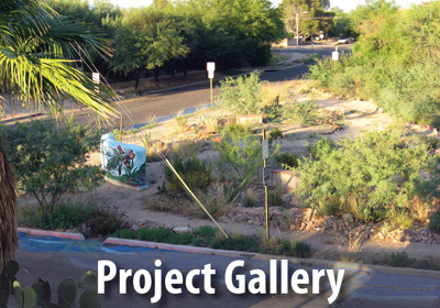 View a portfolio of WMG's water-harvesting landscape work in Tucson and Phoenix.