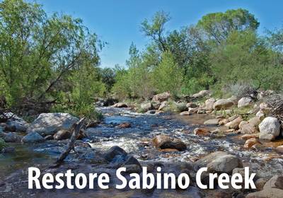 Learn more about WMG's campaign to restore Sabino Creek in Tucson.