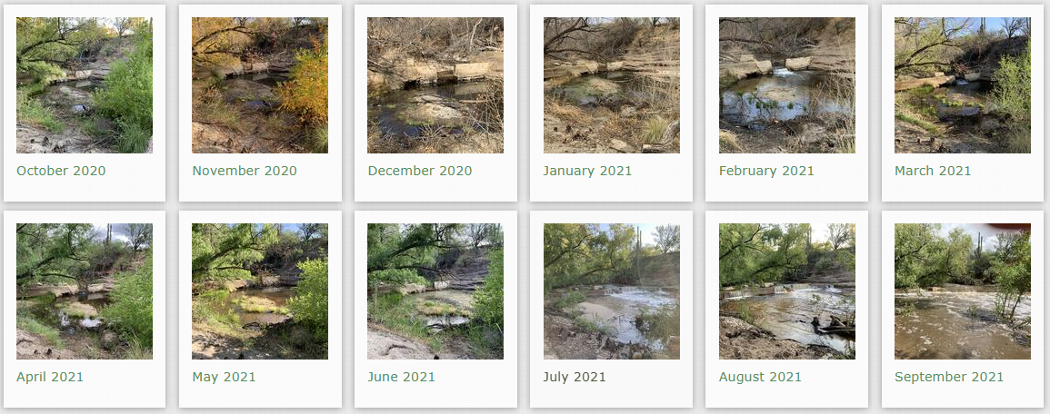 2021 wy monthly photos sbc wes miller park.png
