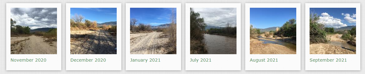 2021 wy monthly photos tvc bosque.png