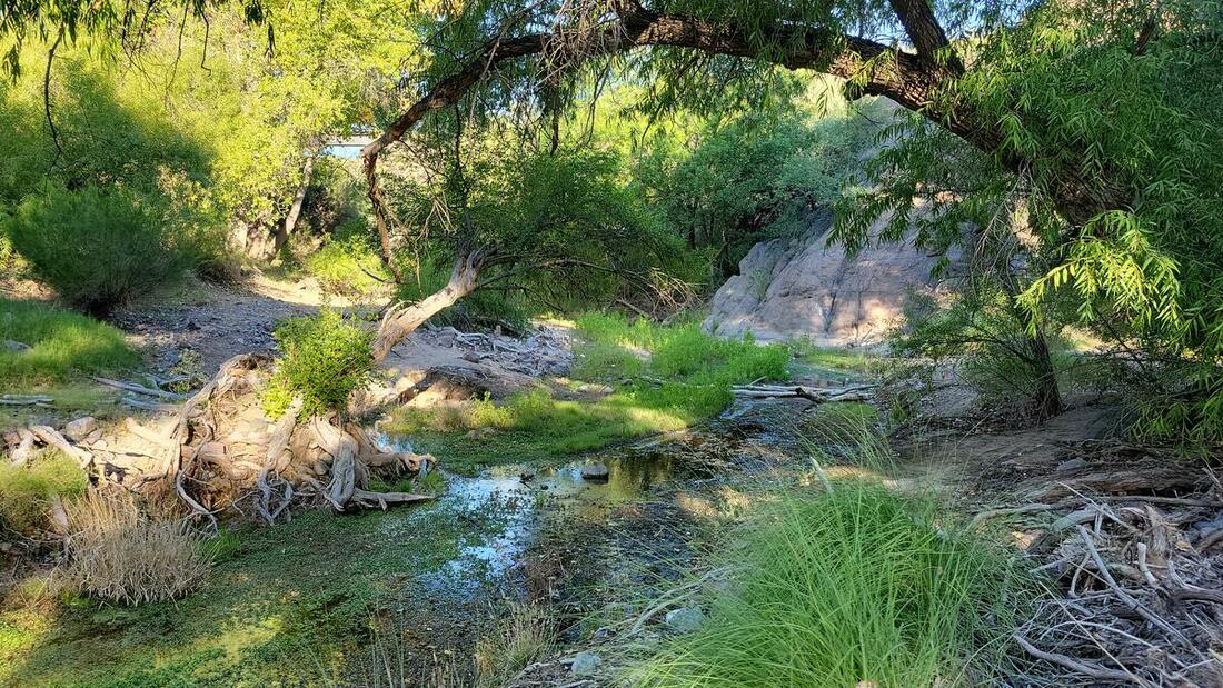 marsh station rd cienega creek title photo