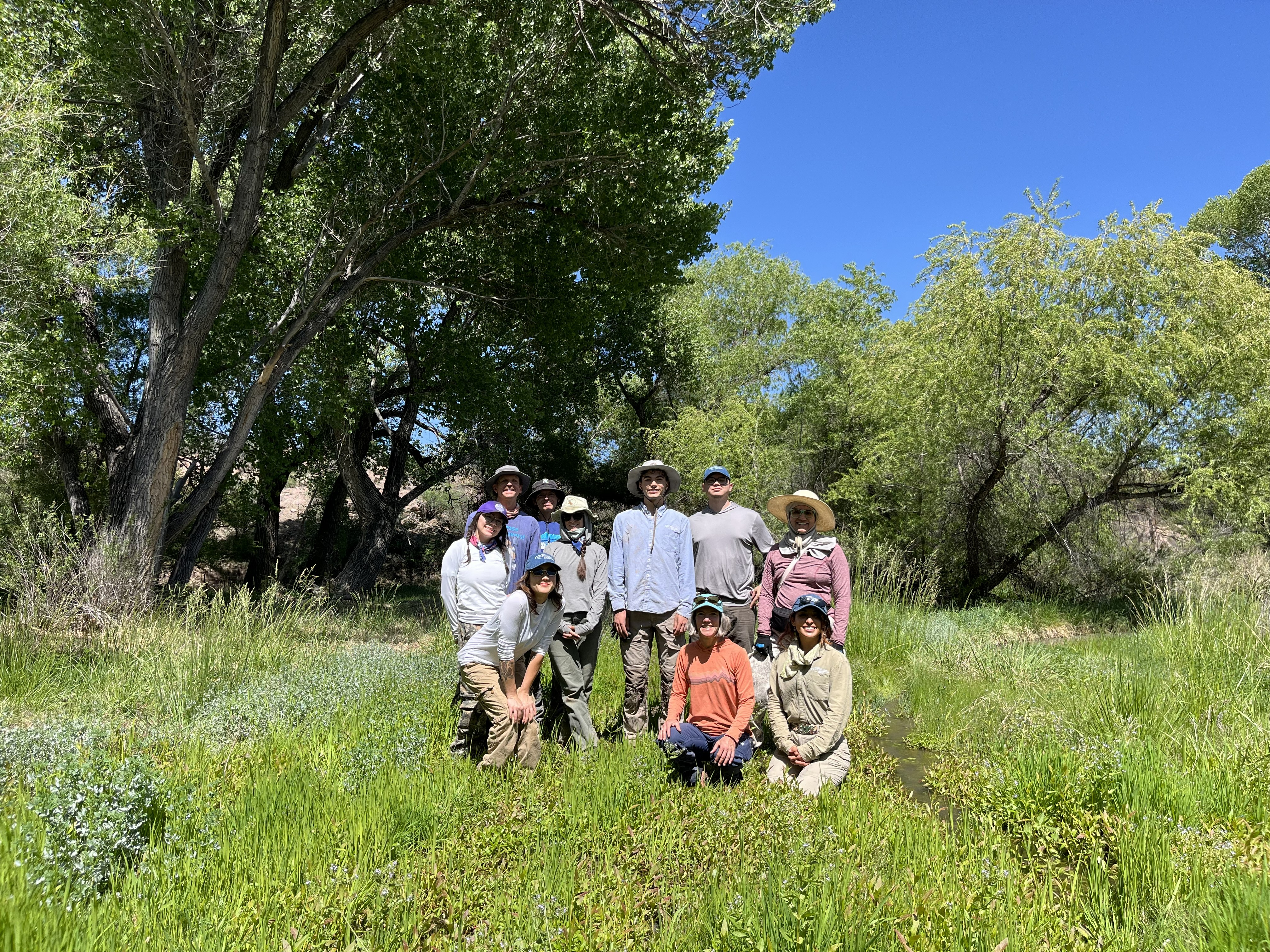 a group of staff, interns, apprentices, and docents smiling in a green field with tall cottonwood trees in the background