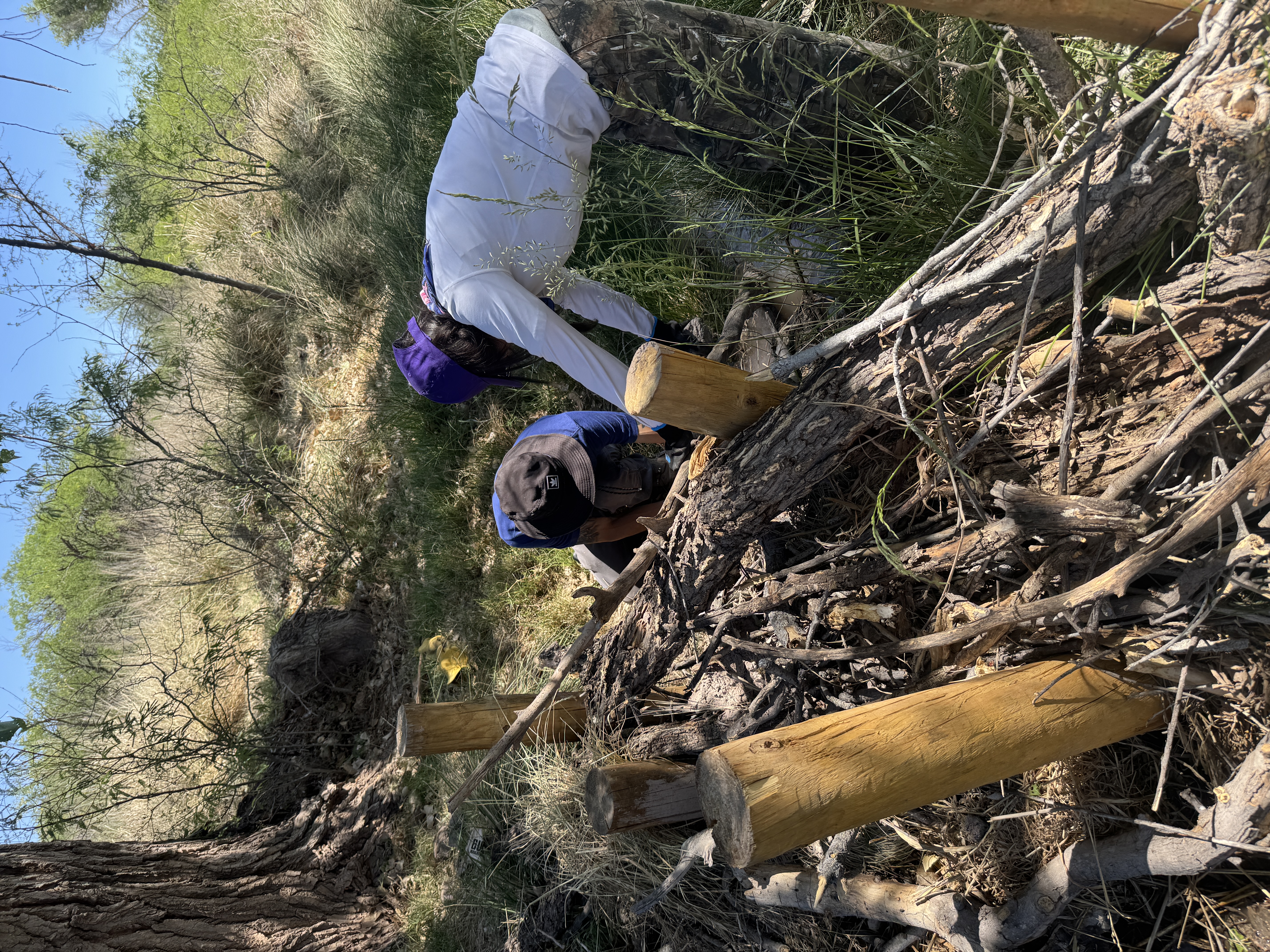 Two staff members building a post-assisted log structure at the Babocomari River