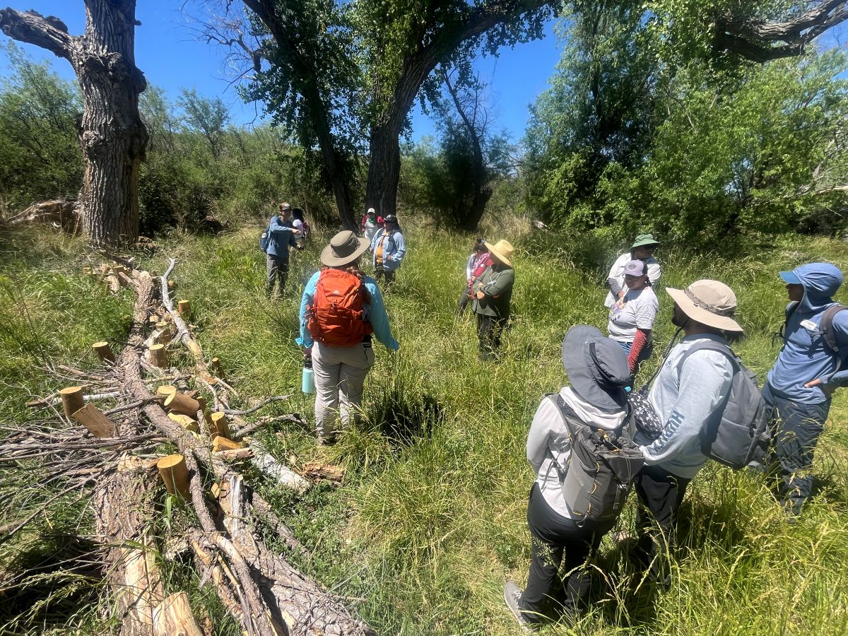a group of people standing in a grassy meadow next to a beaver dam analog