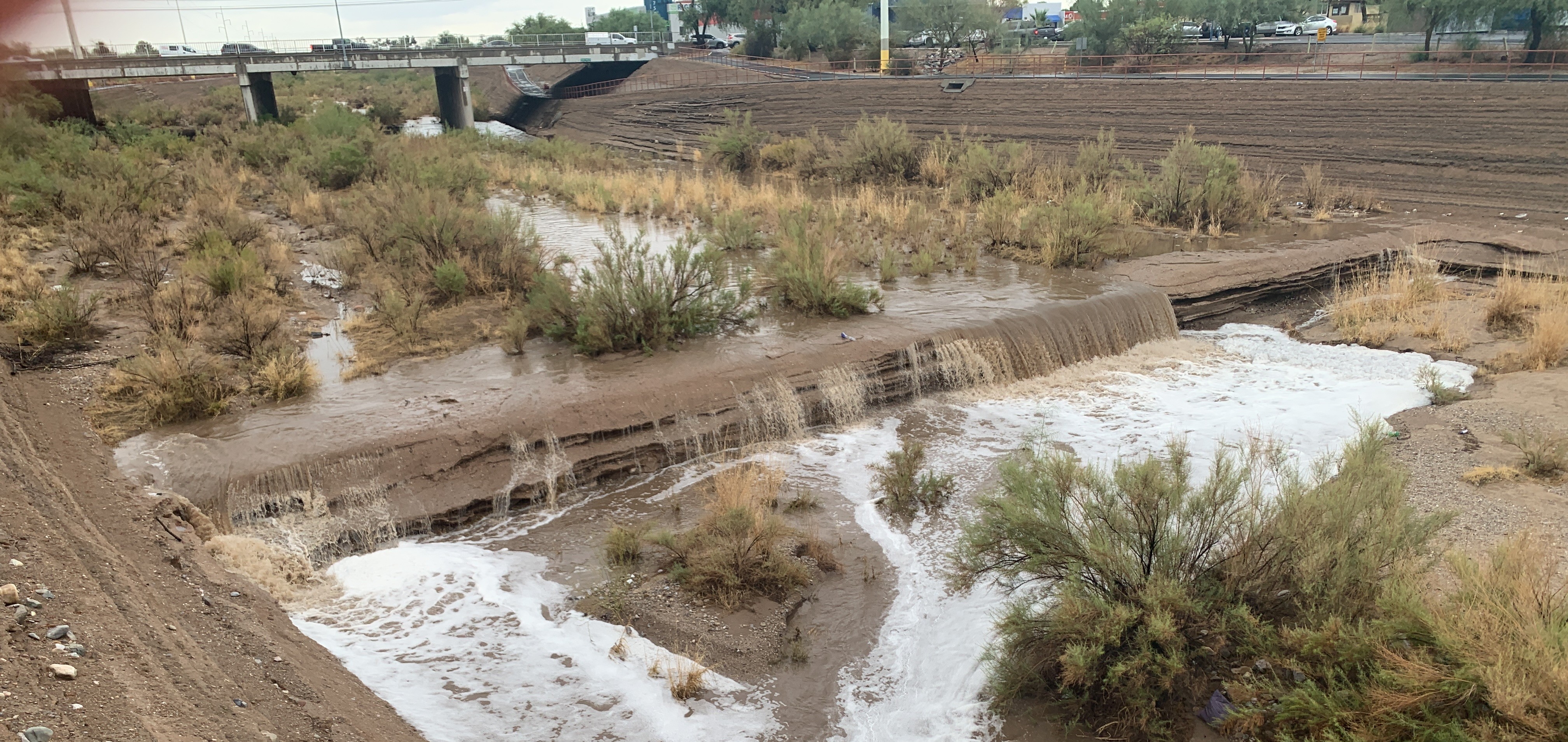 pan tvr title photo 2025