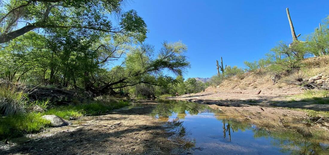 Sabino Creek Wes Miller Park 2021 Flow365 Title photo.jpg