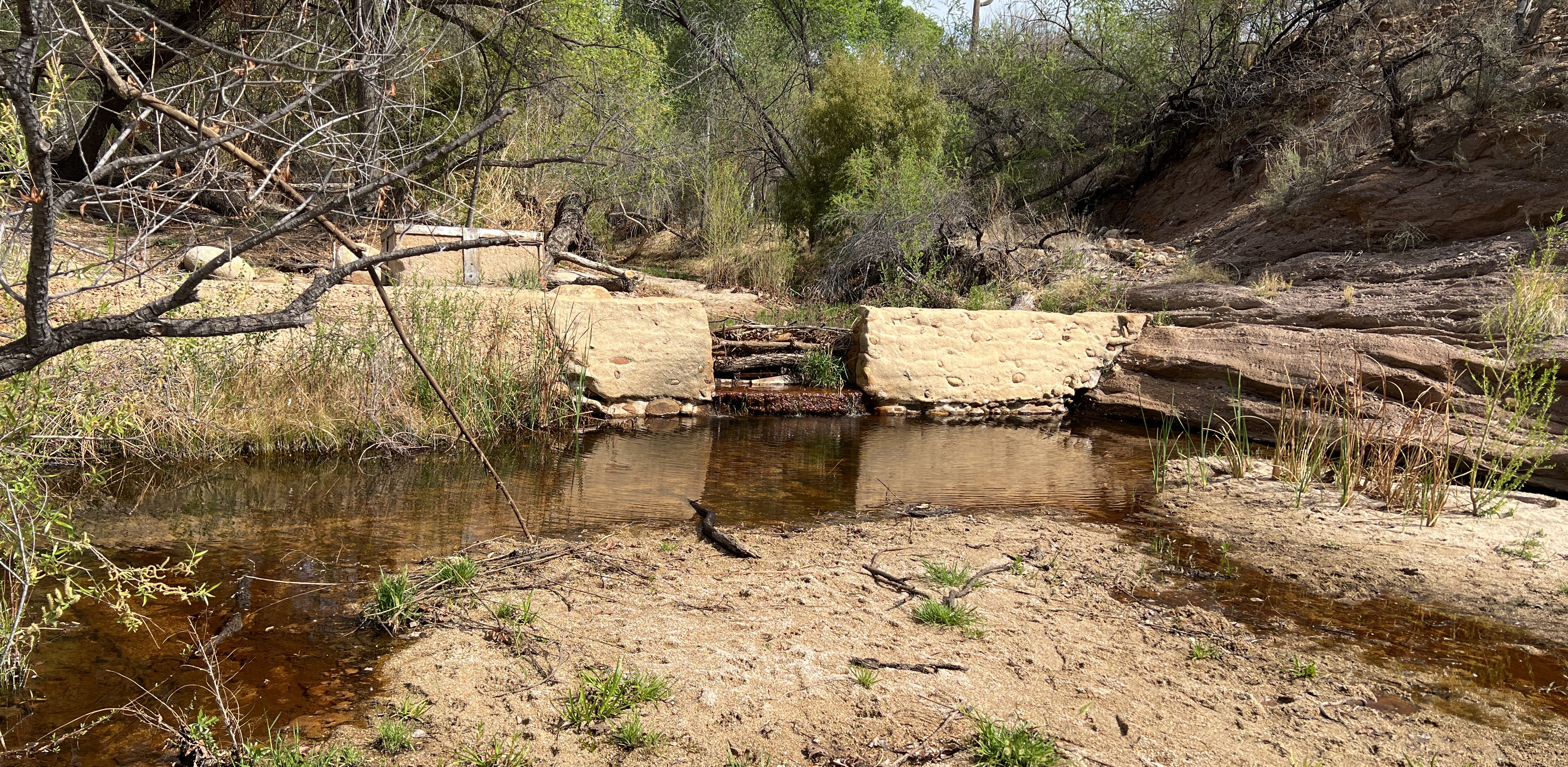 2025 wy wes miller park title photo