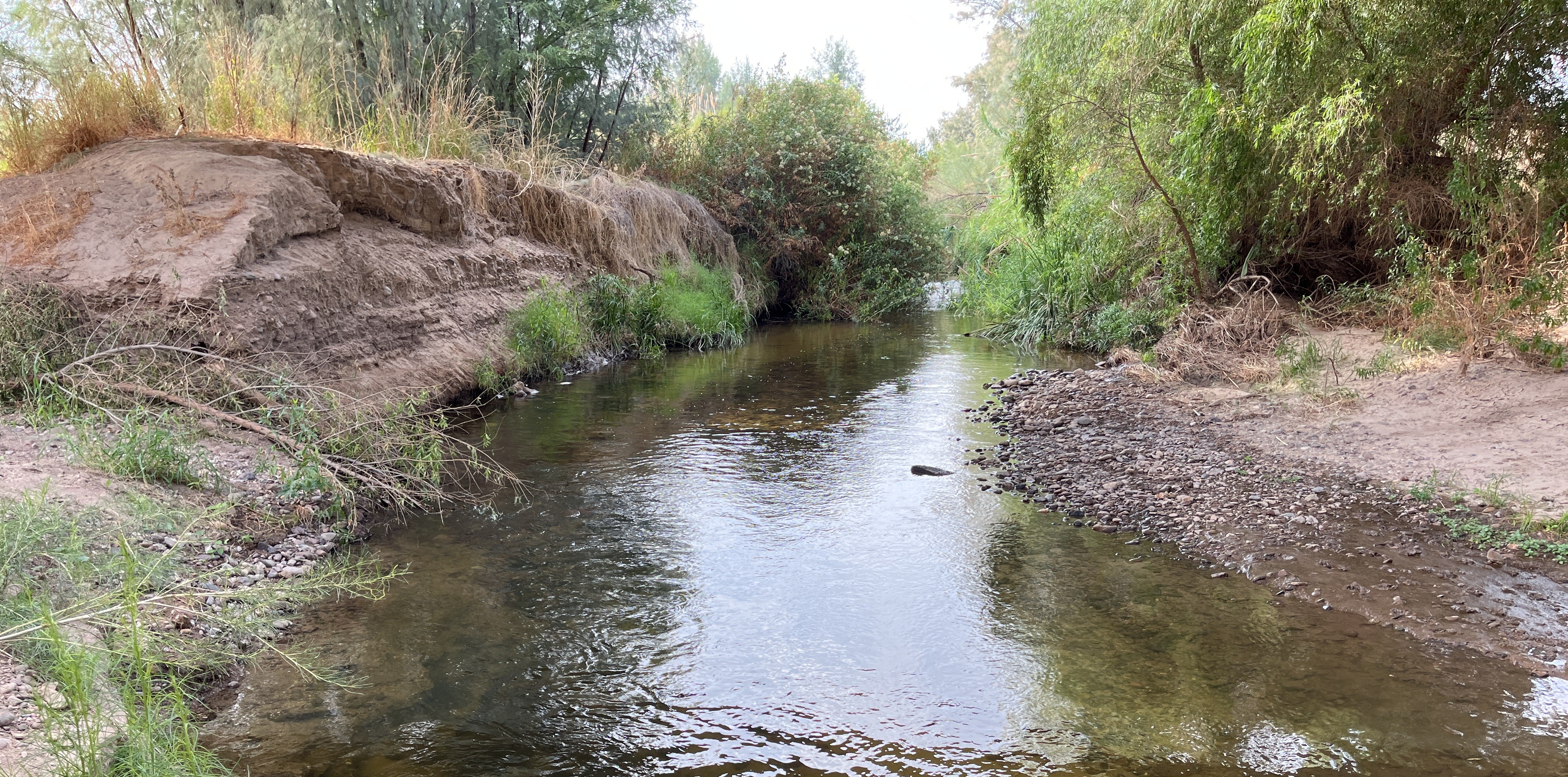 scr tp title photo 2025 wy