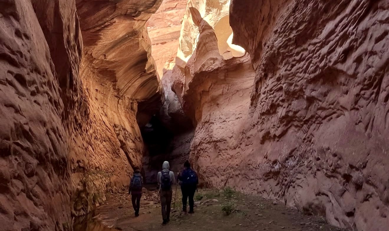 Image of WMG staff on Glen Canyon Beaver Survey