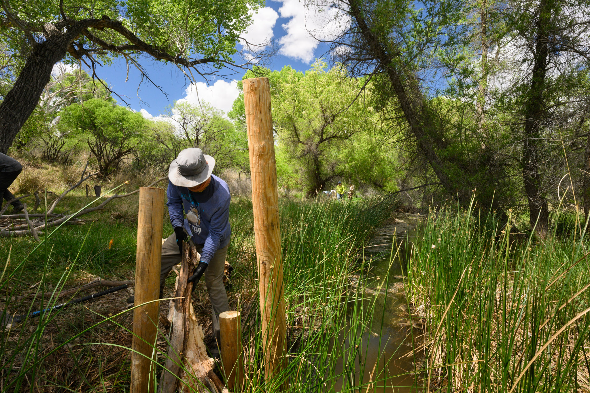 Image of WMG staff implementing a Beaver Dam Analog