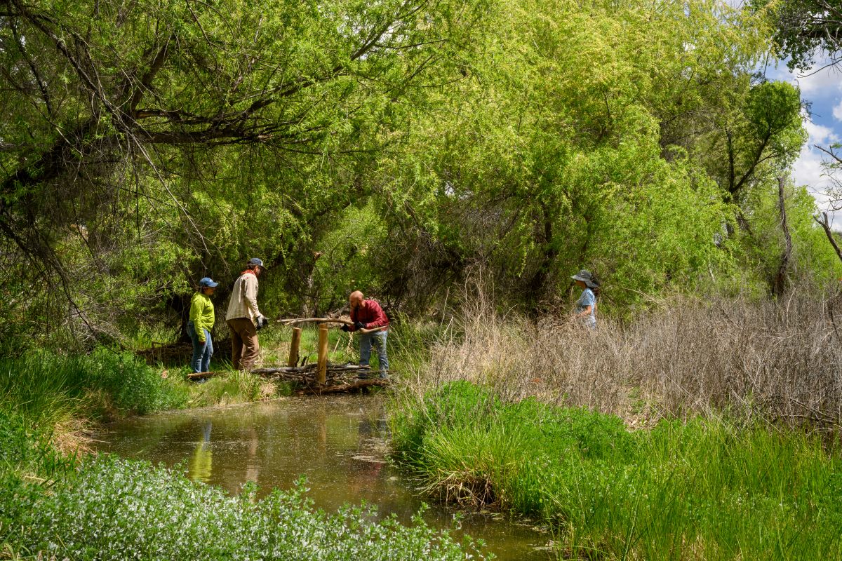 a group of people building a post-assisted log structure within the channel of the flowing Babocomari River