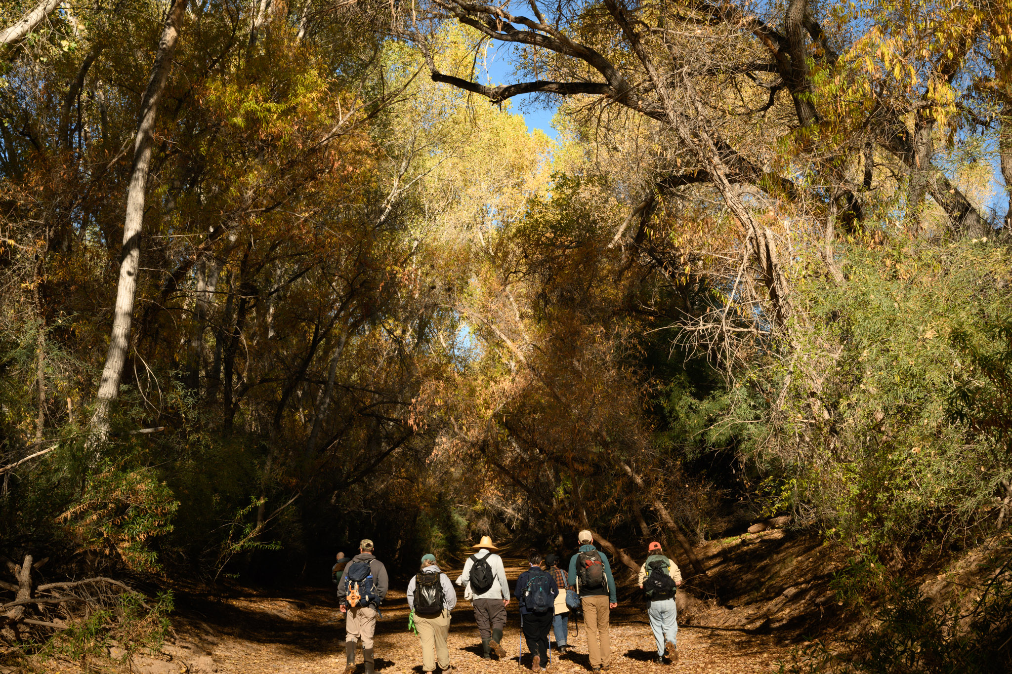 Image of volunteers on San Pedro River beaver survey
