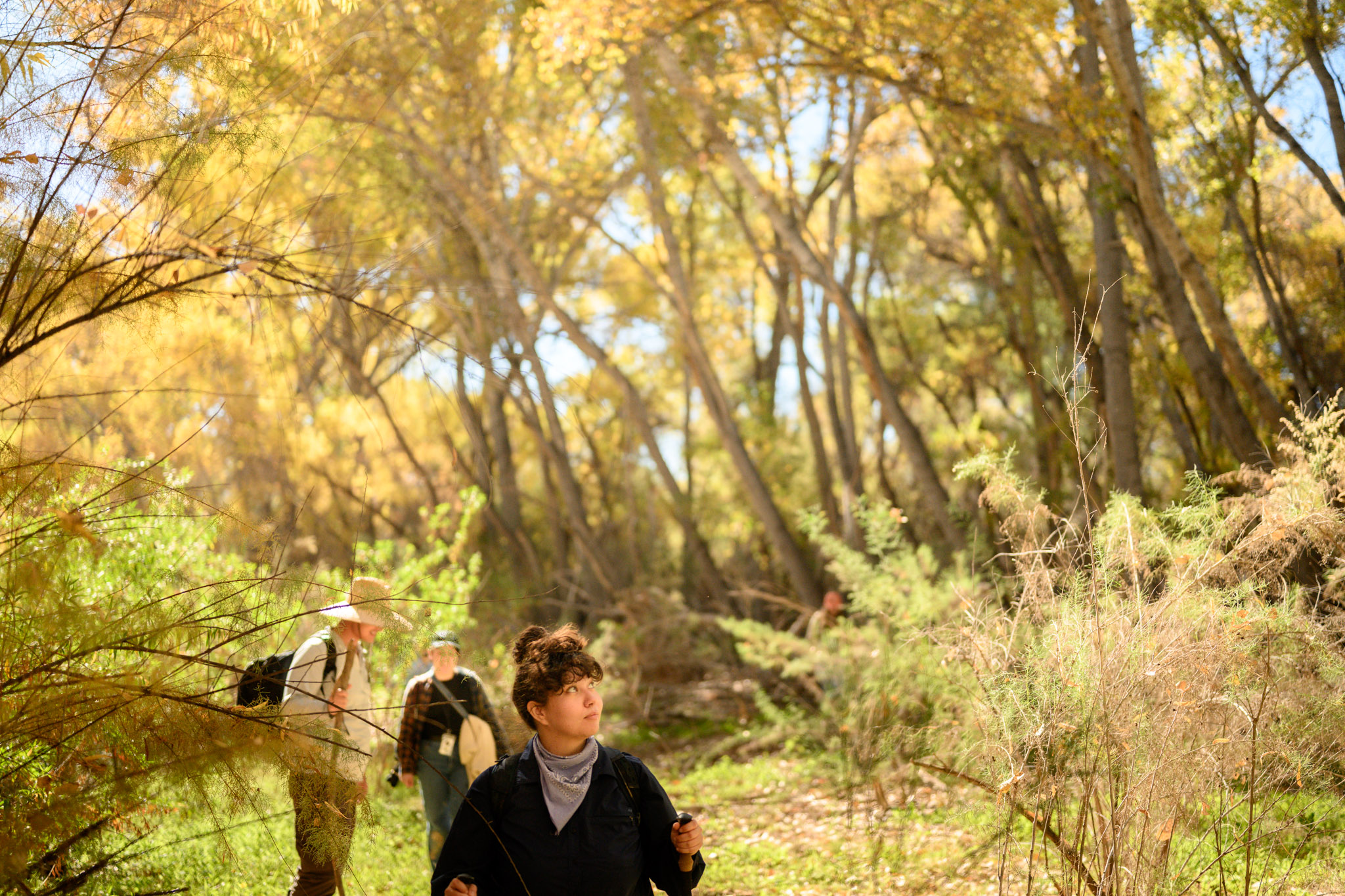 Image of volunteers on San Pedro River beaver survey