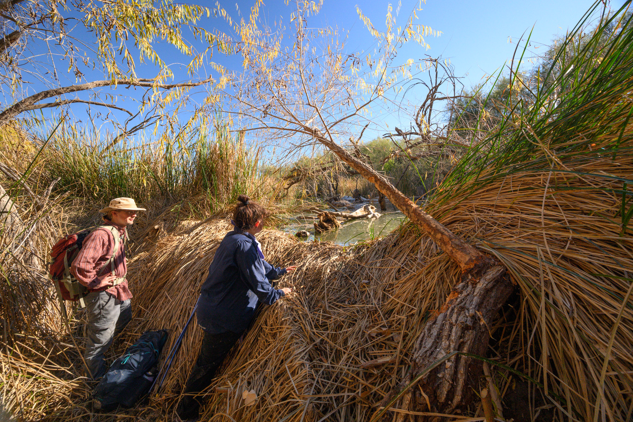 Image of volunteers on San Pedro River beaver survey