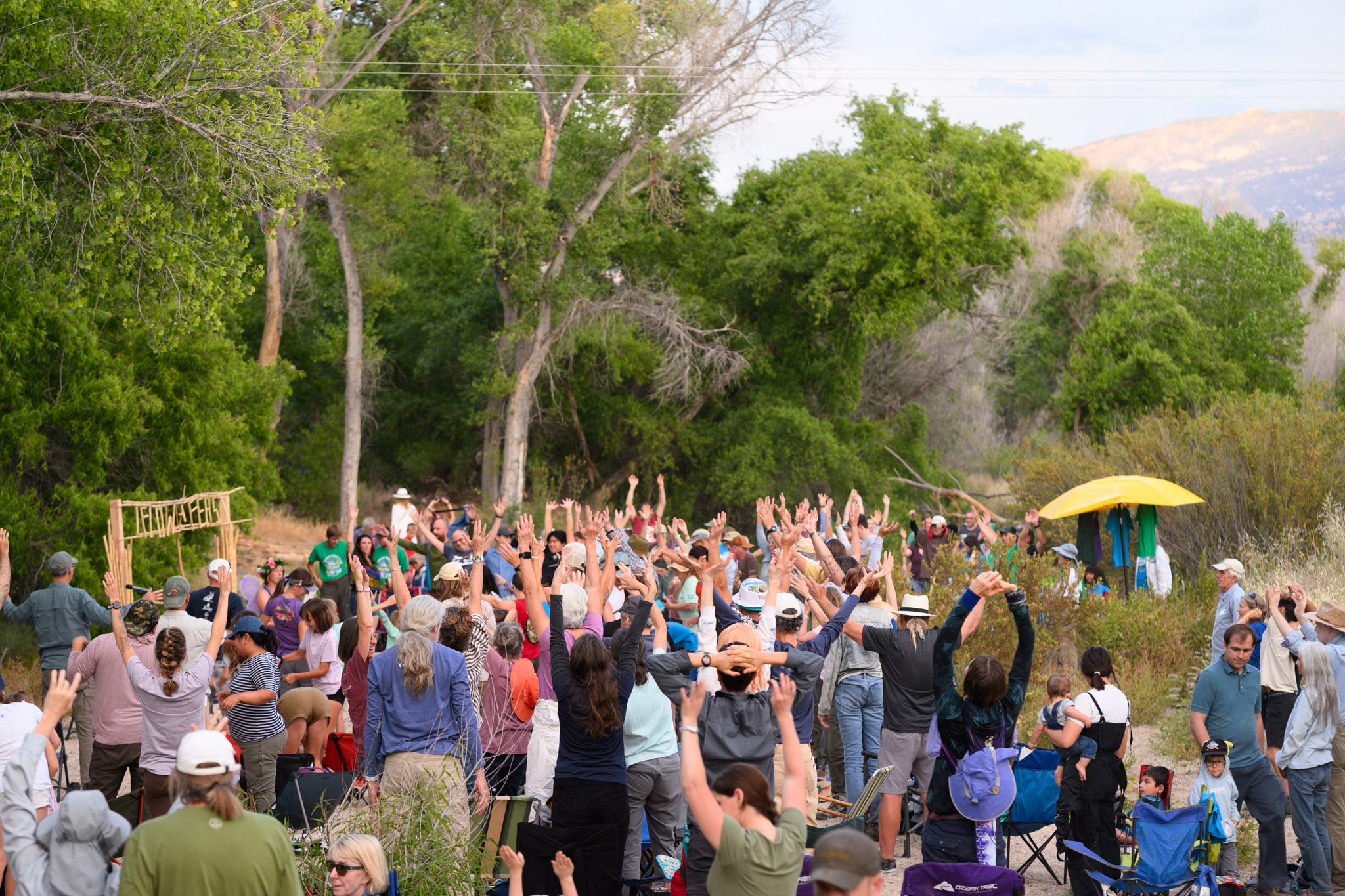 A group of people with hands reaching upward, pretending to be trees reaching for sunlight