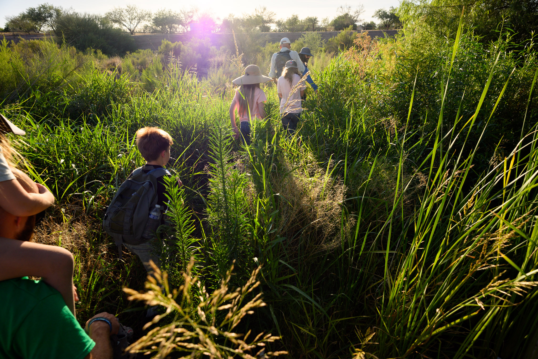 kids walking through plants willow survey