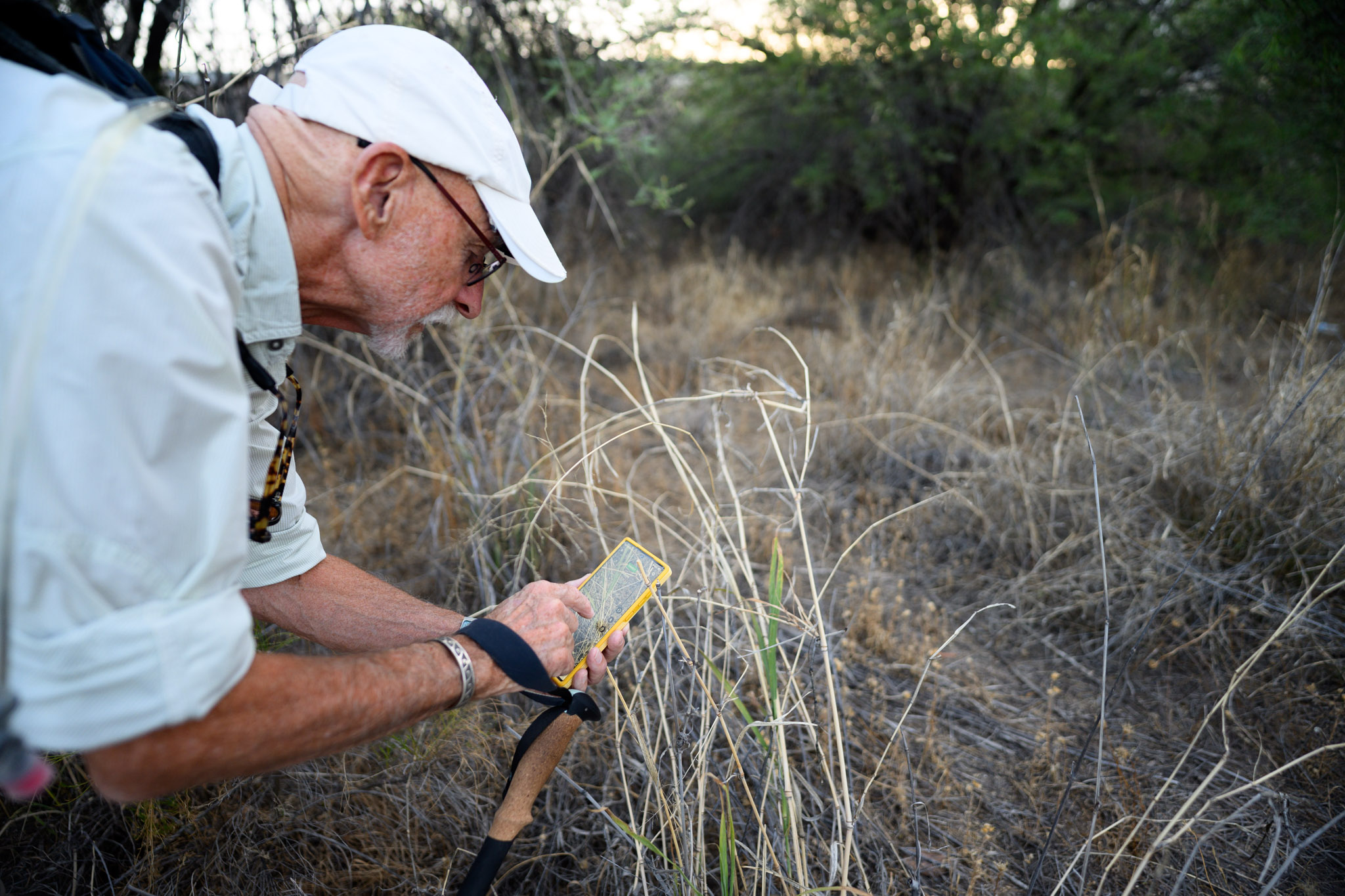 person collecting data willow survey