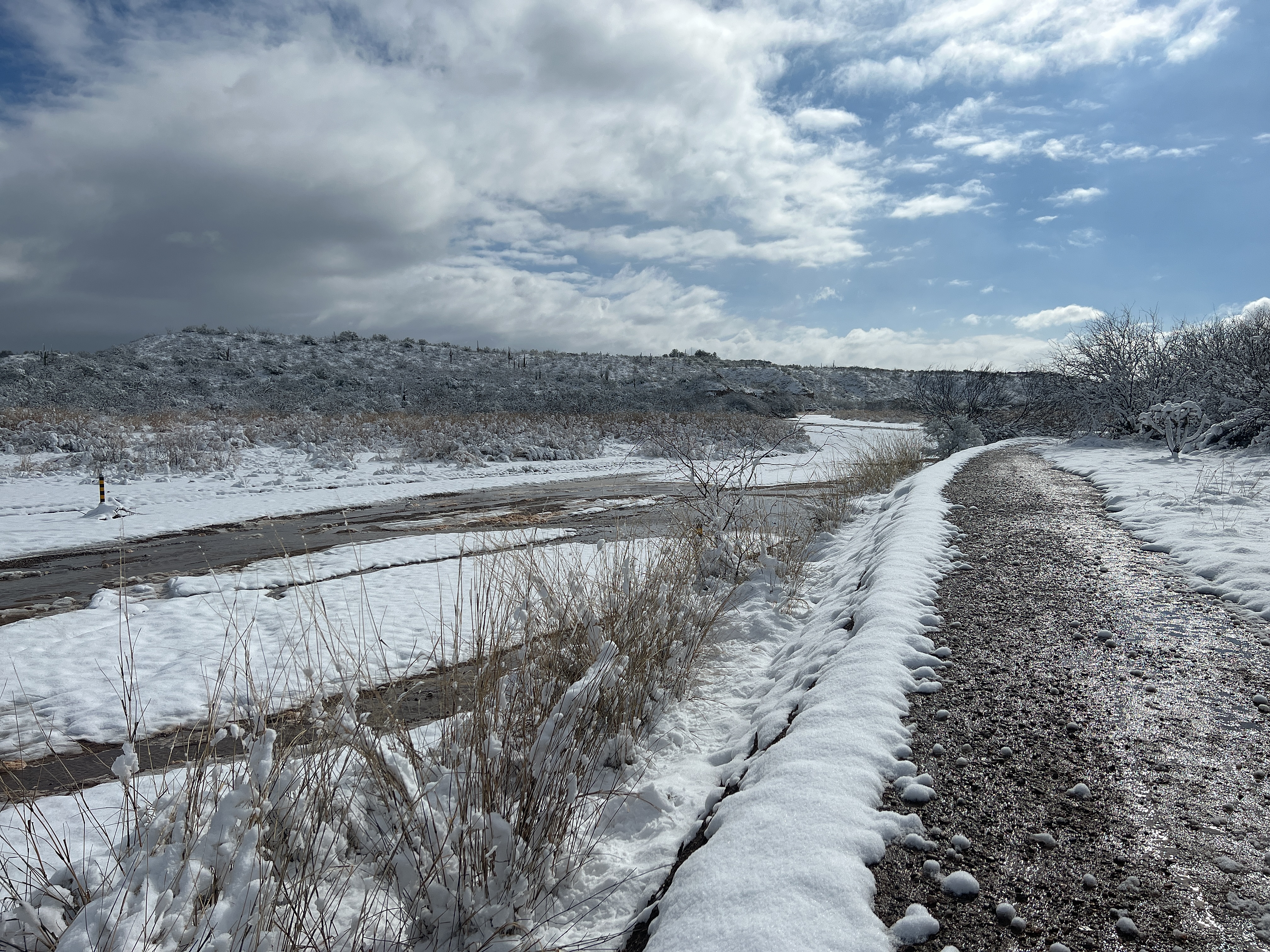 2023 wy pantano colossal cave rd title photo