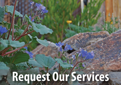 Begin your landscape transformation today. Request our design and project manager services here.