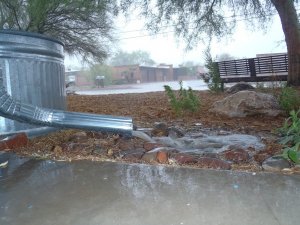 Passive rainwater harvesting features benefiting a front yard.