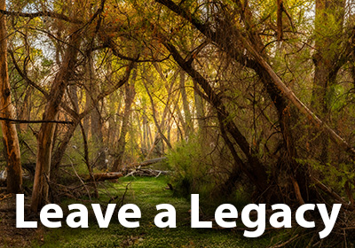 Leave a Legacy Gift to Watershed Management Group