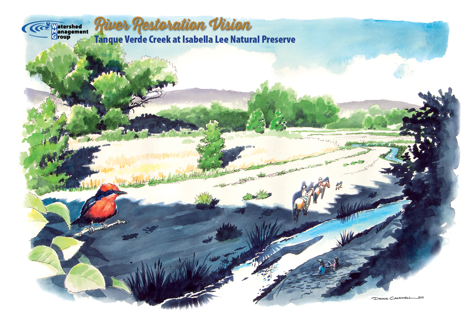River restoration vision - Tanque Verde Creek at Isabella Lee Natural Preserve
