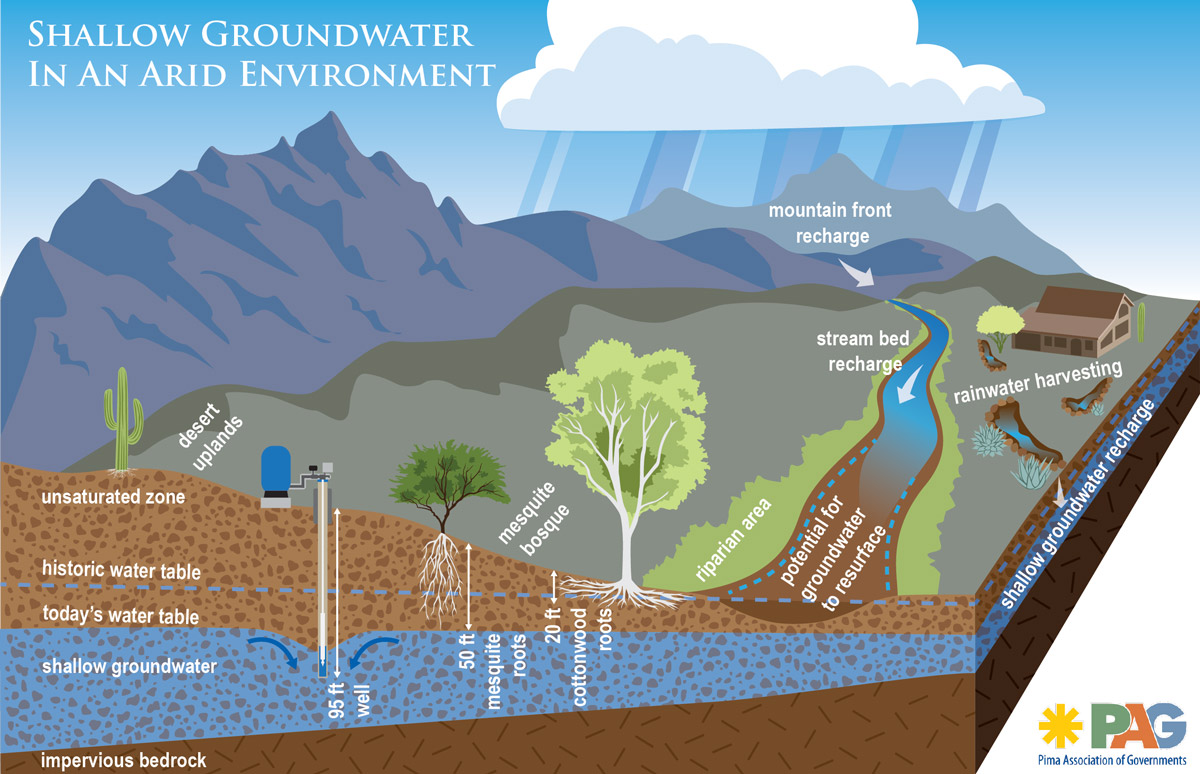 shallow-groundwater-primer-watershed-management-group