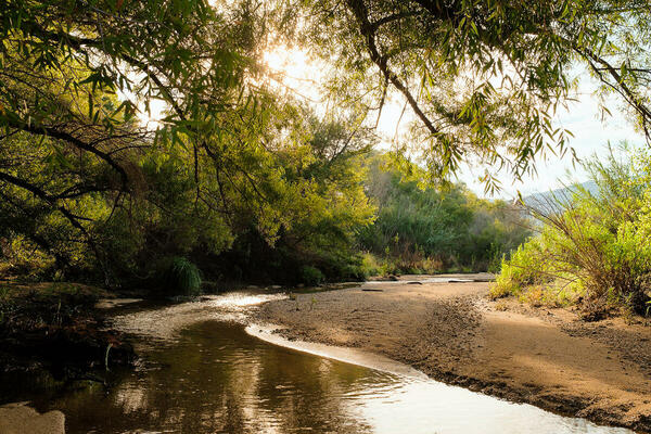 Tanque Verde Creek.