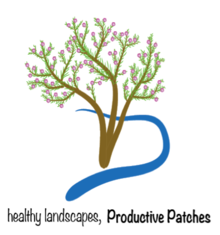 Productive Patches LLC