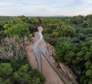 Tanque Verde Flow