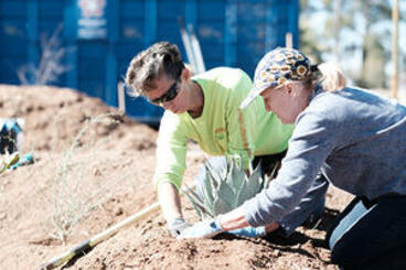 pollinator Planting