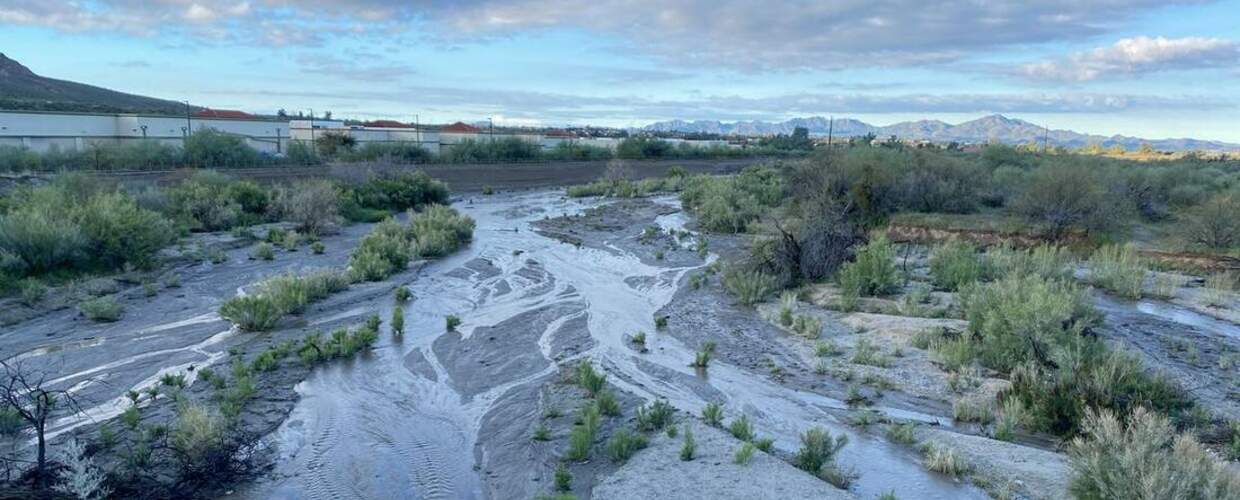 threaded flow in a river bed dotted with shrubby vegetation