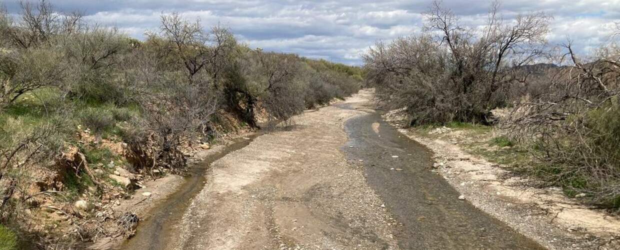 narrow strips of rapid flowing water in a creek bed surrounded by desert scrub