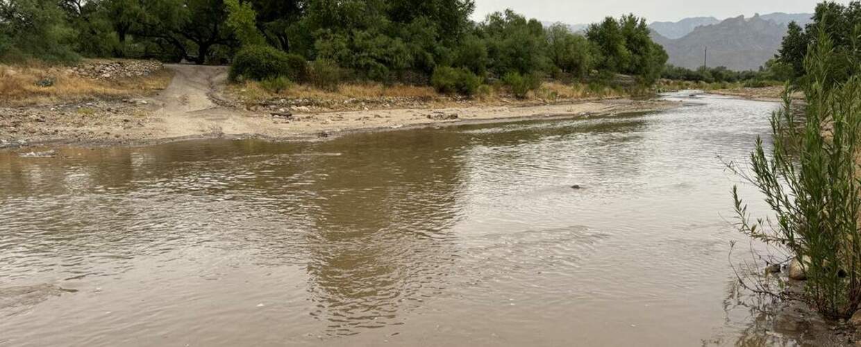 wide muddy river in wooded area with mountains in background