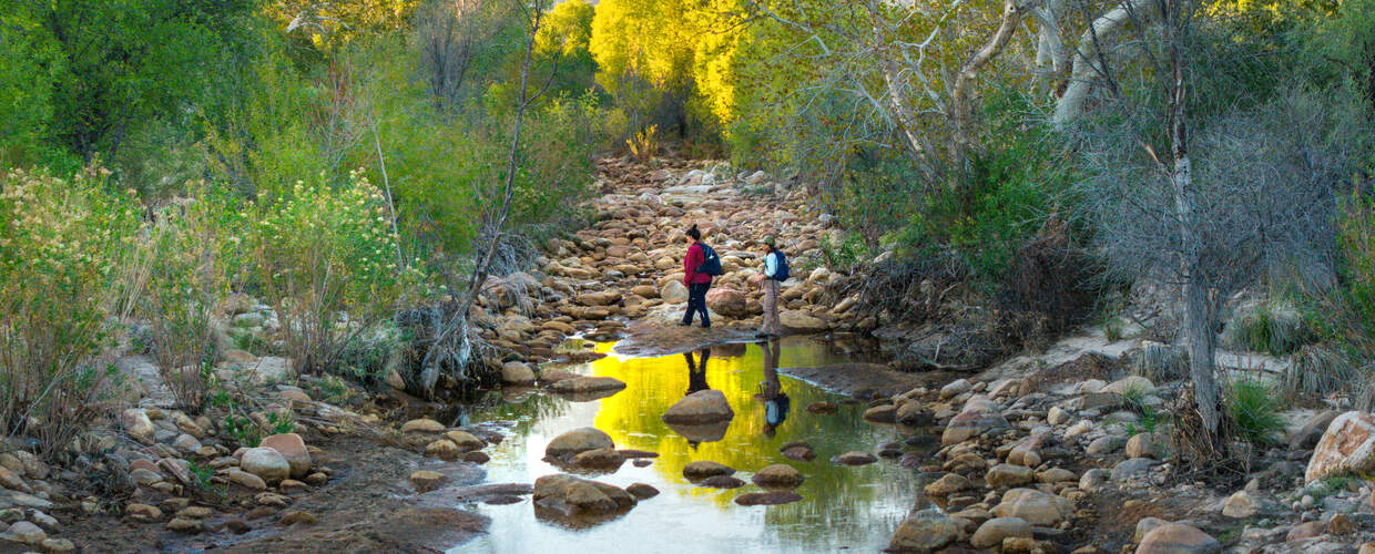 sabino creek walking people